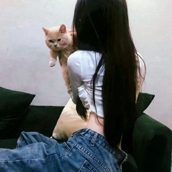 四片羽毛