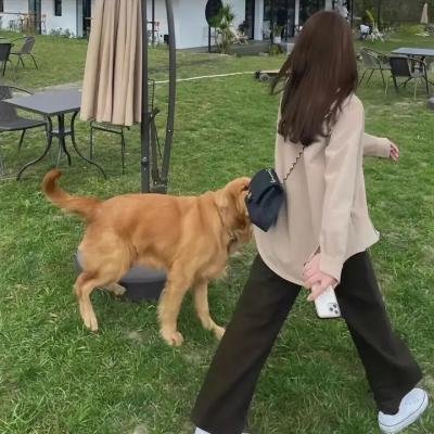 楼王之谜